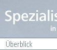 Überblick