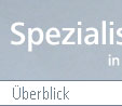 Überblick