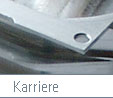 Karriere